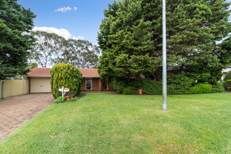 Photo - 12 Kirkpatrick Crescent, Noranda WA 6062 - Image 32