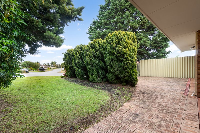 Photo - 12 Kirkpatrick Crescent, Noranda WA 6062 - Image 34