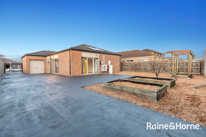 Photo - 12 Kirwan Drive, Cranbourne East VIC 3977 - Image 9