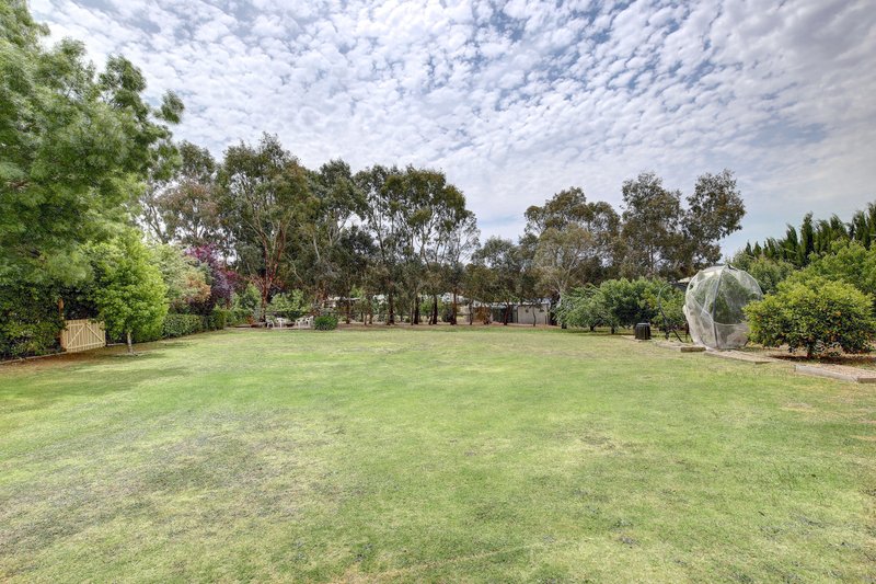 Photo - 12 Lambert Court, Mount Barker SA 5251 - Image 7