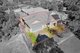 Photo - 1/2 Leisel Close, Upper Coomera QLD 4209 - Image 1