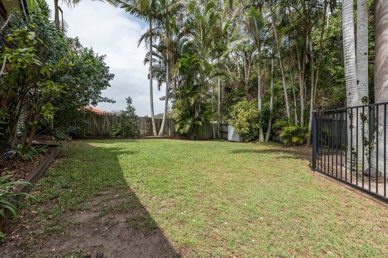 Photo - 12 Linder Place, Buderim QLD 4556 - Image 7