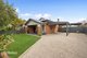 Photo - 12 Llandower Avenue, Evandale SA 5069 - Image 4