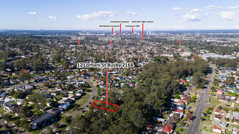 Photo - 12 Lomani Street, Busby NSW 2168 - Image 16