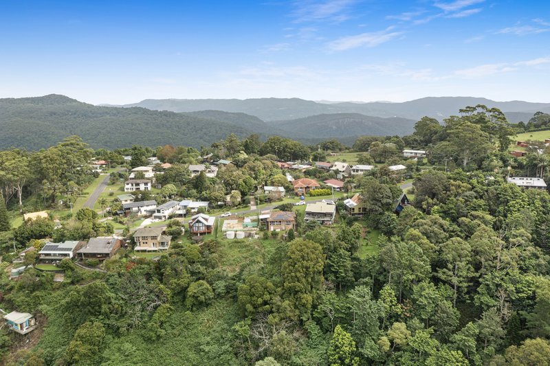 Photo - 12 Loop Road, Lower Beechmont QLD 4211 - Image 22