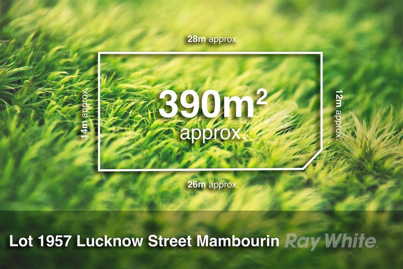 Photo - 12 Lucknow Street, Mambourin VIC 3024 - Image 1