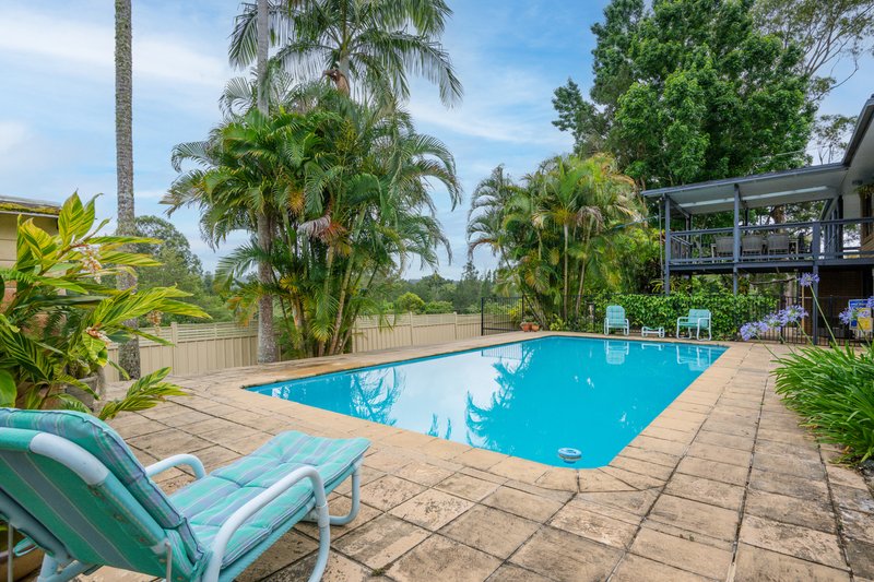 Photo - 12 Mahers Road, Bellingen NSW 2454 - Image 20