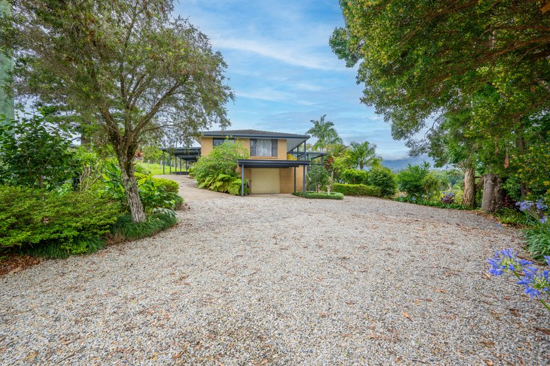 Photo - 12 Mahers Road, Bellingen NSW 2454 - Image 29