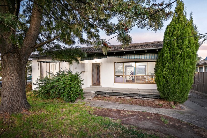 12 Mcbryde Street, Fawkner VIC 3060