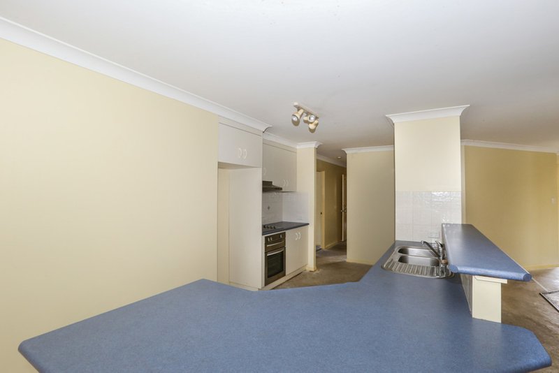 Photo - 12 Mcdonald Court, Wyreema QLD 4352 - Image 3