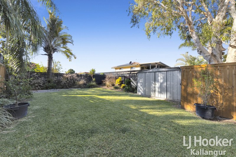 Photo - 12 Mcneill Road, Kallangur QLD 4503 - Image 14