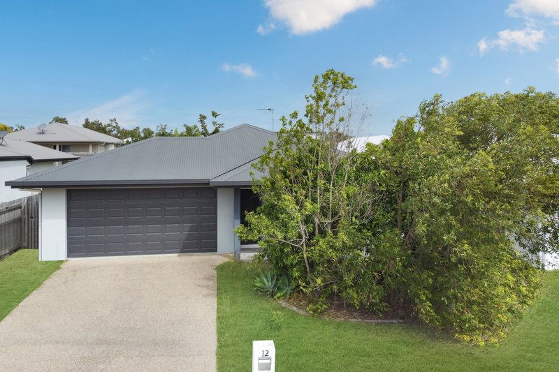 12 Merritt Court, Deeragun QLD 4818