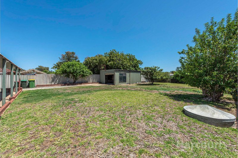 Photo - 12 Mimbalup Close, Hillman WA 6168 - Image 21