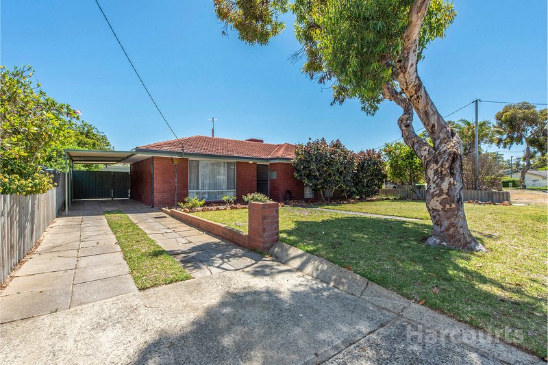 Photo - 12 Mimbalup Close, Hillman WA 6168 - Image 25