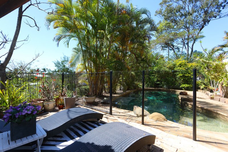 Photo - 12 Moselle Place, Carseldine QLD 4034 - Image 21