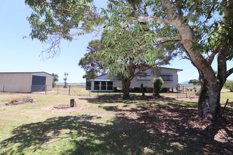 Photo - 12 Mudies Road, Victoria Plantation QLD 4850 - Image 21