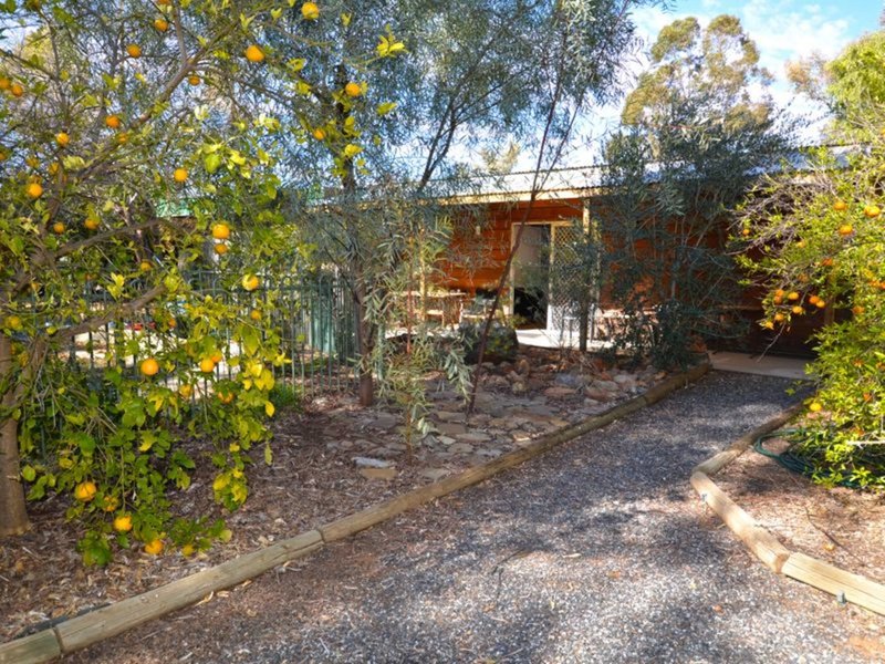 Photo - 12 Mueller Street, Alice Springs NT 0870 - Image 11