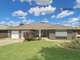 Photo - 12 Nathan Place, Kooringal NSW 2650 - Image 1