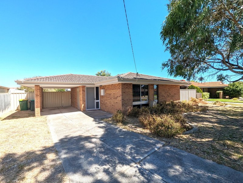 Photo - 12 Newell Place, Cooloongup WA 6168 - Image 13