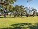 Photo - 12 Newick Street, Balga WA 6061 - Image 4