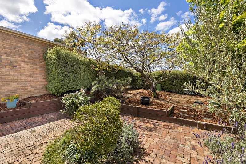 Photo - 12 Noongale Court, Ngunnawal ACT 2913 - Image 3