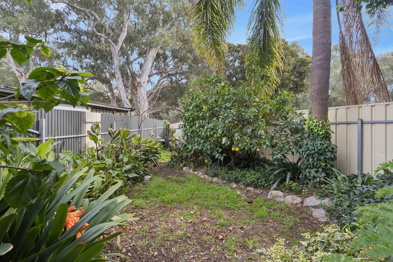 Photo - 12 Norfolk Avenue, Valley View SA 5093 - Image 17