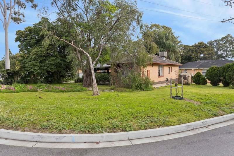 Photo - 12 Norfolk Avenue, Valley View SA 5093 - Image 21