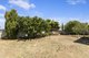 Photo - 12 Old Honiton Road, Edithburgh SA 5583 - Image 26