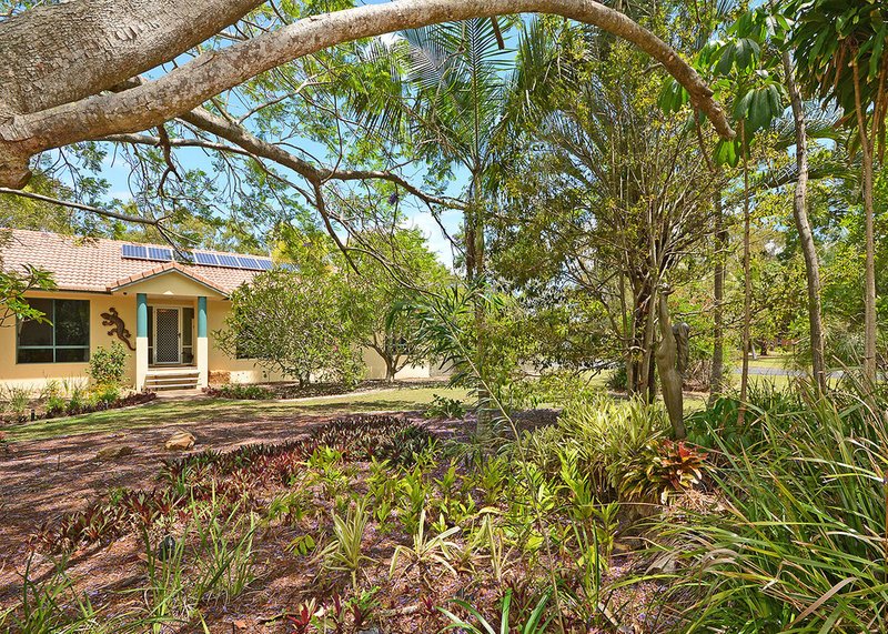 Photo - 12 Palmwood Drive, Dundowran Beach QLD 4655 - Image 25