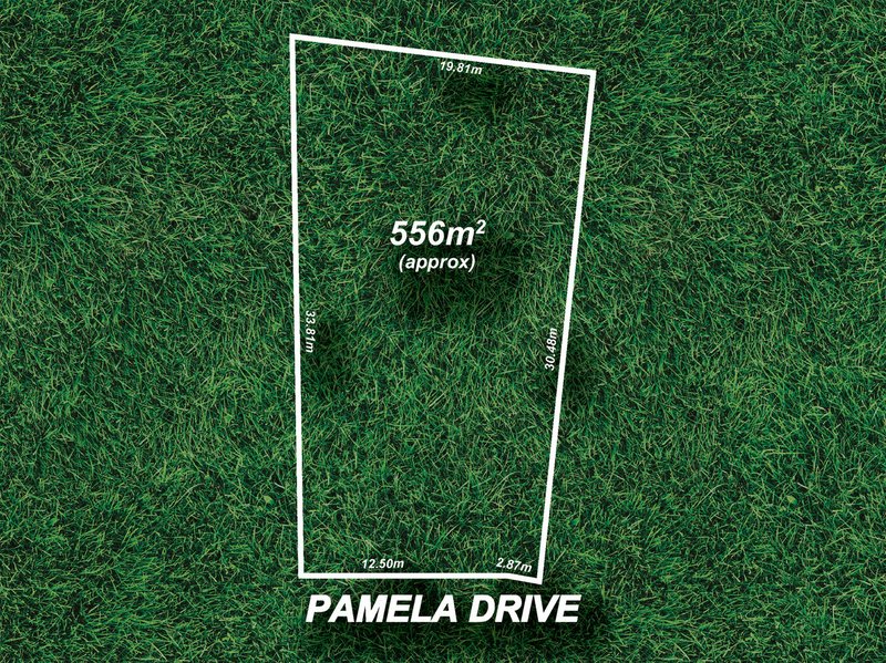 12 Pamela Drive, Para Hills SA 5096