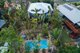 Photo - 12 Panoramic Court, Cannonvale QLD 4802 - Image 24