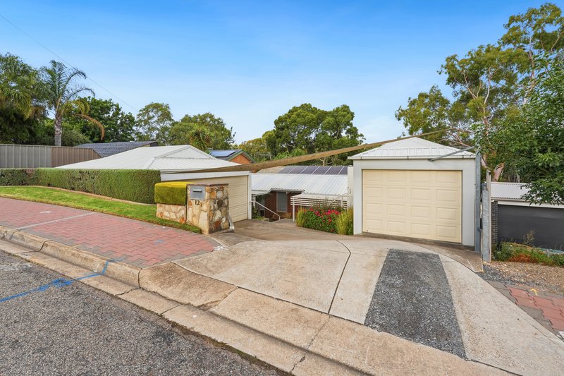 Photo - 12 Pauline Drive, Surrey Downs SA 5126 - Image 2