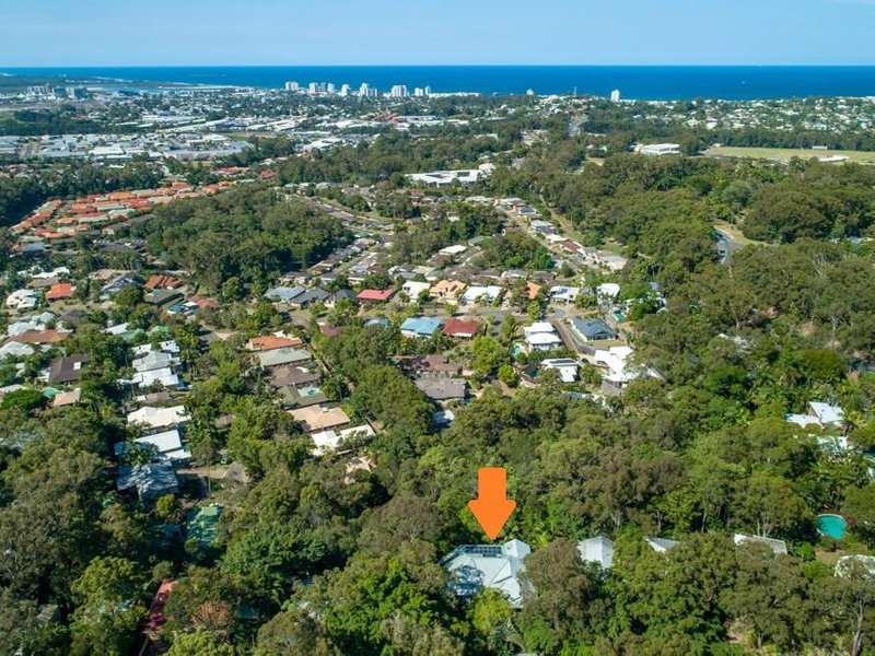 Photo - 12 Pheasant Street, Buderim QLD 4556 - Image 26