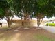 Photo - 12 Potoroo Place, Doolandella QLD 4077 - Image 16