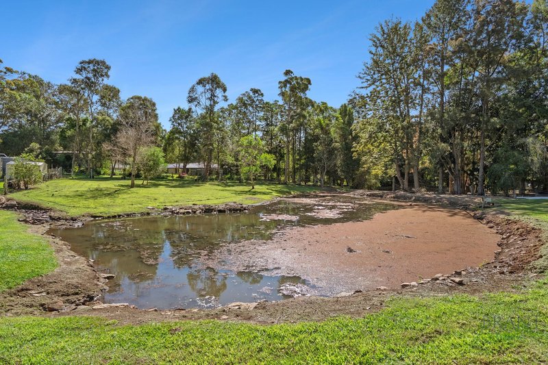 Photo - 12 Ravensberg Drive, Witta QLD 4552 - Image 12