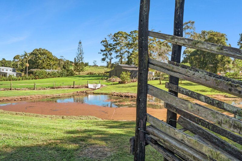 Photo - 12 Ravensberg Drive, Witta QLD 4552 - Image 13
