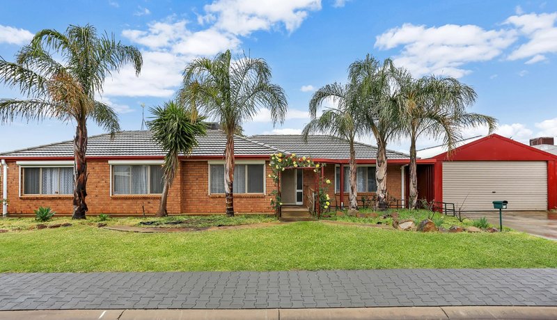 12 Riddoch Drive, Andrews Farm SA 5114