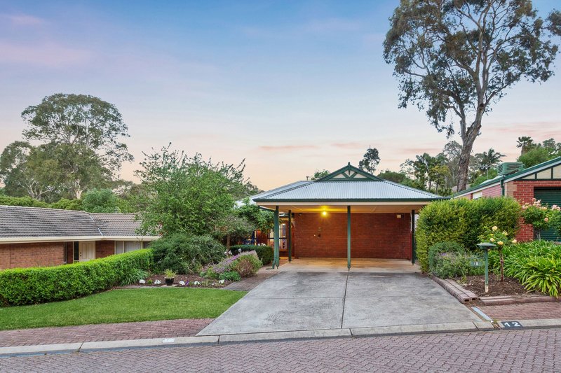 Photo - 12 Robin Court, Flagstaff Hill SA 5159 - Image 2