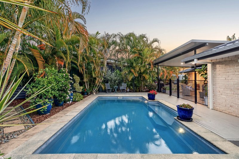 Photo - 12 Rose Ash Crescent, Noosaville QLD 4566 - Image 2