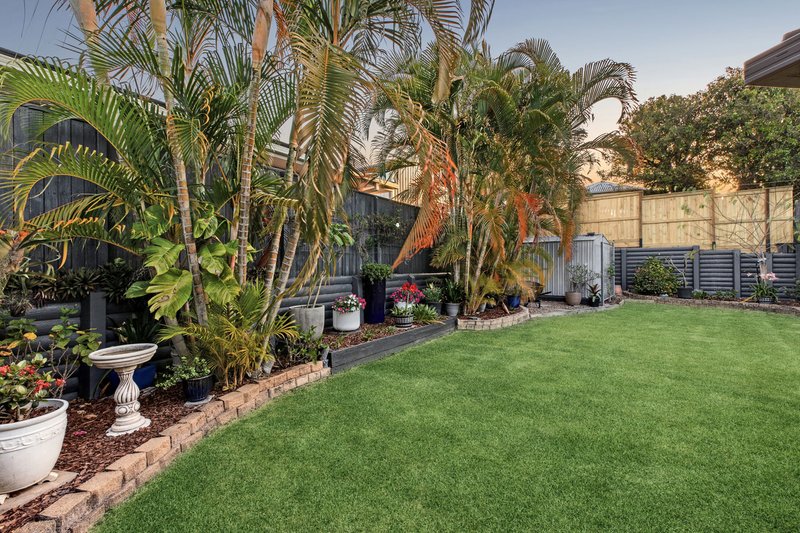 Photo - 12 Rose Ash Crescent, Noosaville QLD 4566 - Image 13