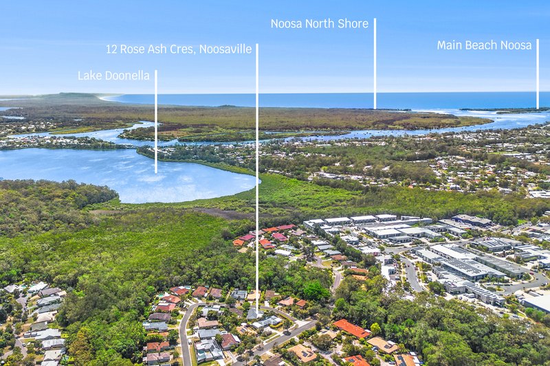 Photo - 12 Rose Ash Crescent, Noosaville QLD 4566 - Image 14