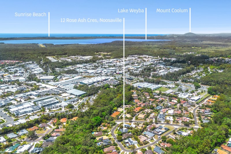 Photo - 12 Rose Ash Crescent, Noosaville QLD 4566 - Image 15