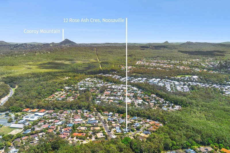 Photo - 12 Rose Ash Crescent, Noosaville QLD 4566 - Image 16