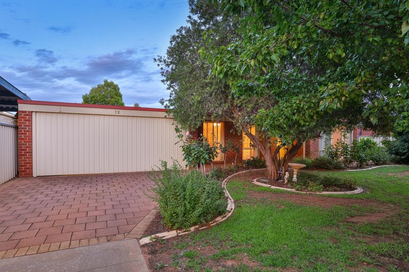 Photo - 12 Rural Drive, Mildura VIC 3500 - Image 3