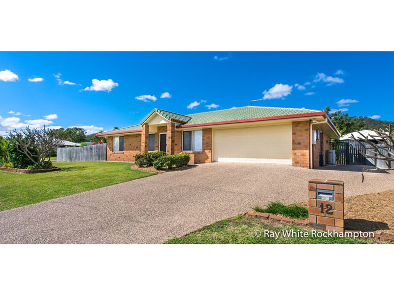 12 Satinwood Avenue, Norman Gardens QLD 4701