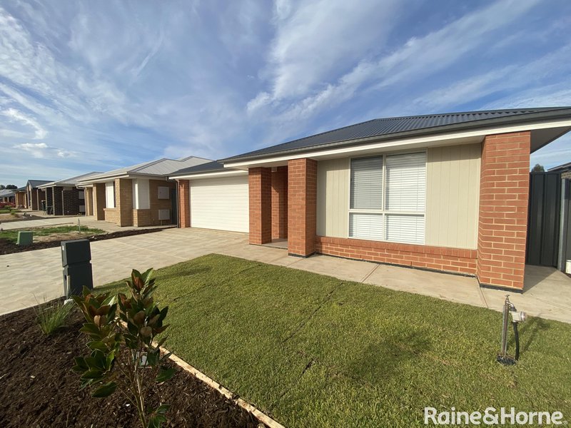 12 Senna Avenue, Andrews Farm SA 5114