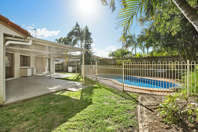 Photo - 12 Serenella Court, Buderim QLD 4556 - Image 9