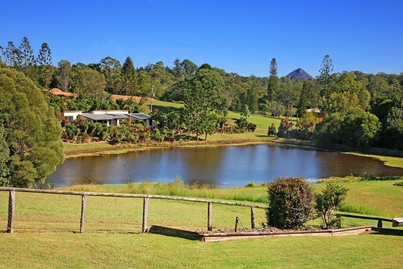 Photo - 12 Southeden Court, Cooroy QLD 4563 - Image 7