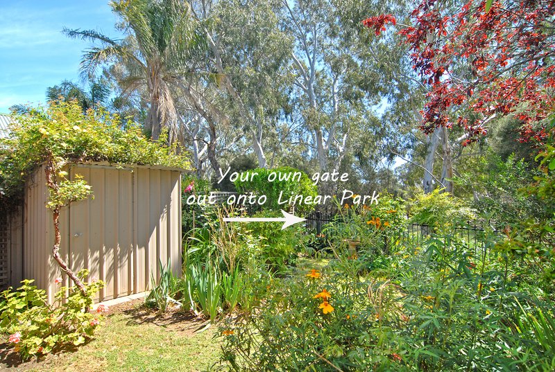 Photo - 12 St Ives Walk, Paradise SA 5075 - Image 2