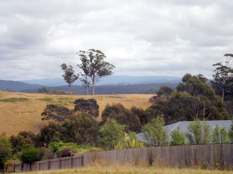 Photo - 12 Susan Court, St Helens TAS 7216 - Image 5